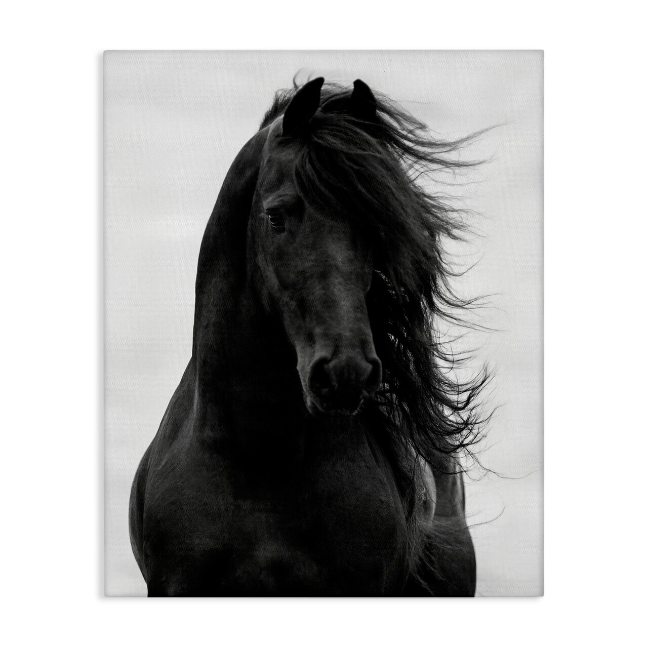 Stupell Industries Black Stallion Horse Portrait Canvas Wall Art